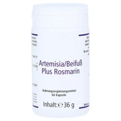 Артемизинин 150 мг капс. 60шт в Тюмени и области фото